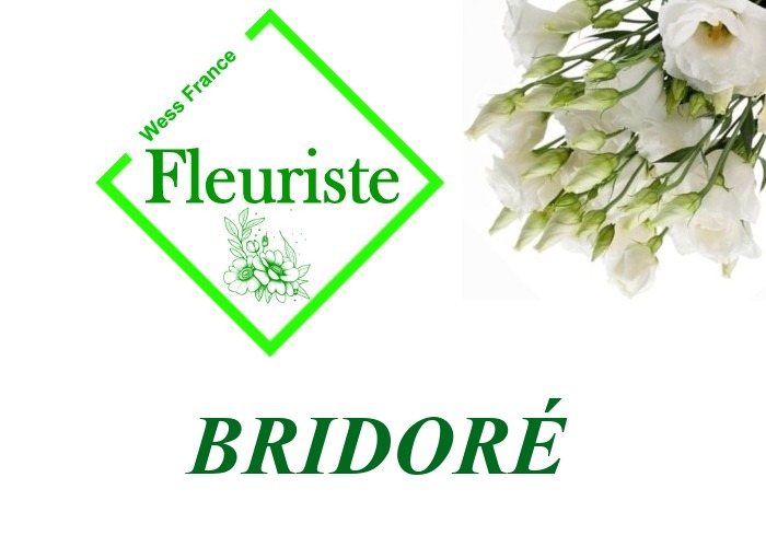 Fleuriste Bridoré Fleuriste Bridoré - livraison de fleurs Bridoré