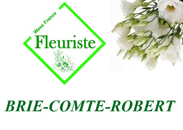 Fleuriste Brie-Comte-Robert Fleuriste Brie-Comte-Robert - livraison de fleurs Brie-Comte-Robert