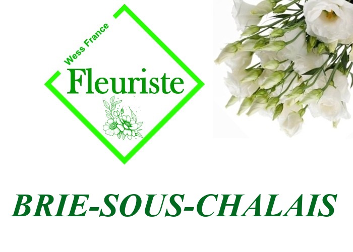 Fleuriste Brie-sous-Chalais Fleuriste Brie-sous-Chalais - livraison de fleurs Brie-sous-Chalais