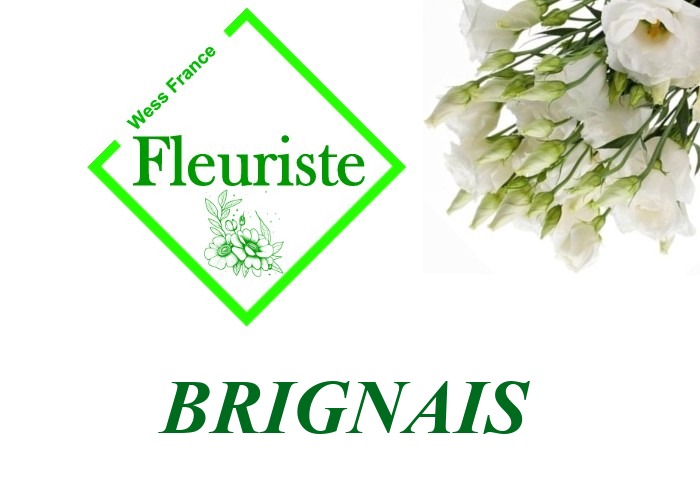 Fleuriste Brignais Fleuriste Brignais - livraison de fleurs Brignais