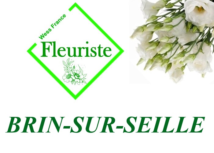 Fleuriste Brin-sur-Seille Fleuriste Brin-sur-Seille - livraison de fleurs Brin-sur-Seille