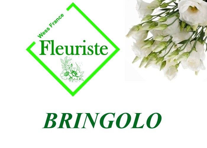 Fleuriste Bringolo Fleuriste Bringolo - livraison de fleurs Bringolo