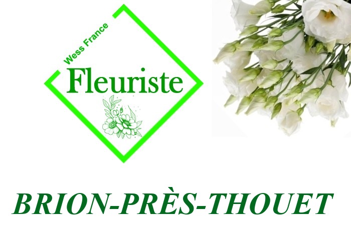 Fleuriste Brion-près-Thouet Fleuriste Brion-près-Thouet - livraison de fleurs Brion-près-Thouet