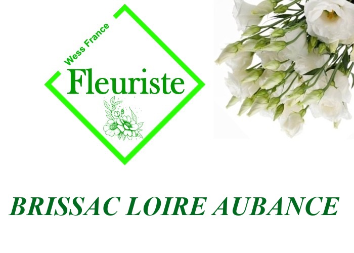 Fleuriste Brissac Loire Aubance Fleuriste Brissac Loire Aubance - livraison de fleurs Brissac Loire Aubance