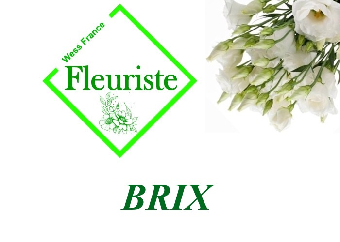 Fleuriste Brix Fleuriste Brix - livraison de fleurs Brix