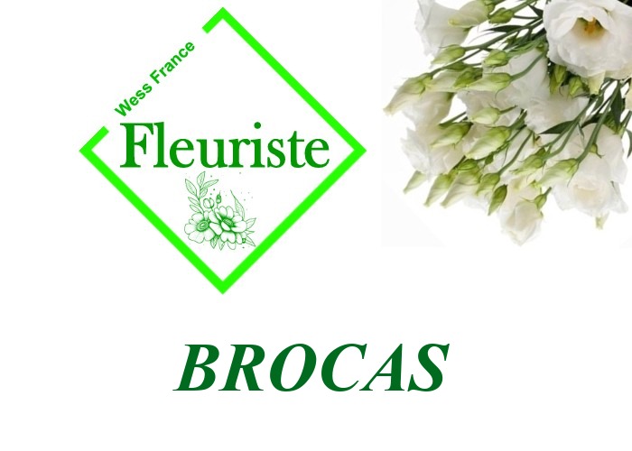 Fleuriste Brocas Fleuriste Brocas - livraison de fleurs Brocas