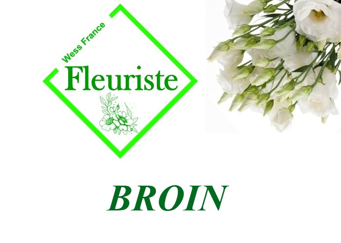 Fleuriste Broin Fleuriste Broin - livraison de fleurs Broin