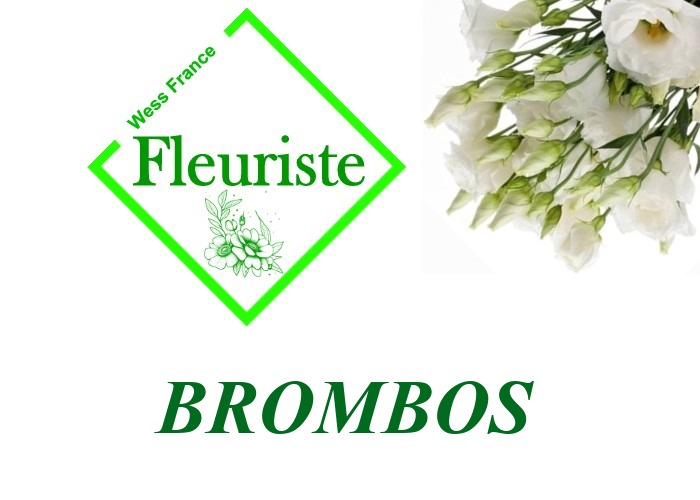 Fleuriste Brombos Fleuriste Brombos - livraison de fleurs Brombos