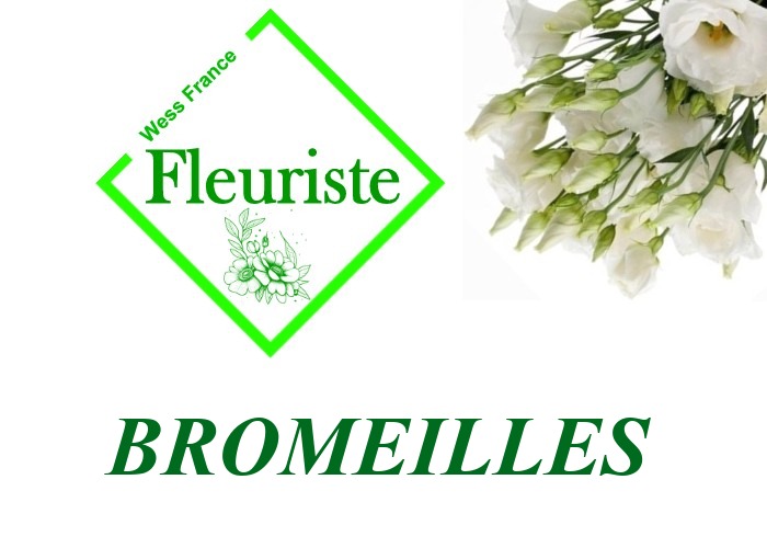 Fleuriste Bromeilles Fleuriste Bromeilles - livraison de fleurs Bromeilles