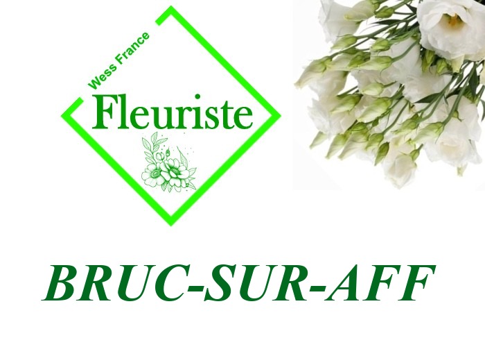 Fleuriste Bruc-sur-Aff Fleuriste Bruc-sur-Aff - livraison de fleurs Bruc-sur-Aff