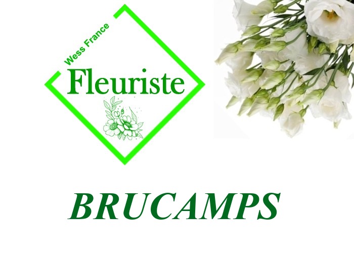 Fleuriste Brucamps Fleuriste Brucamps - livraison de fleurs Brucamps