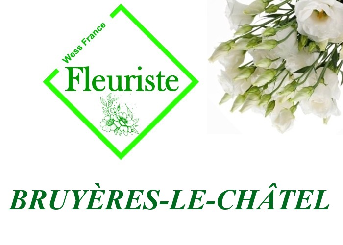Fleuriste Bruyères-le-Châtel Fleuriste Bruyères-le-Châtel - livraison de fleurs Bruyères-le-Châtel