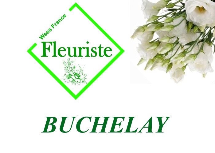 Fleuriste Buchelay Fleuriste Buchelay - livraison de fleurs Buchelay