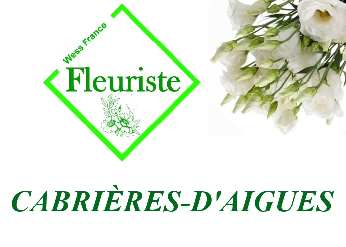Fleuriste Cabrières-d'Aigues Fleuriste Cabrières-d'Aigues - livraison de fleurs Cabrières-d'Aigues