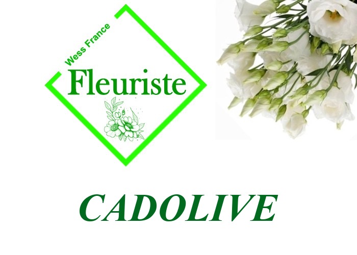 Fleuriste Cadolive Fleuriste Cadolive - livraison de fleurs Cadolive