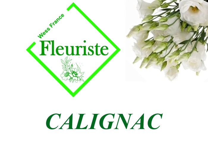 Fleuriste Calignac - livraison de fleurs Calignac