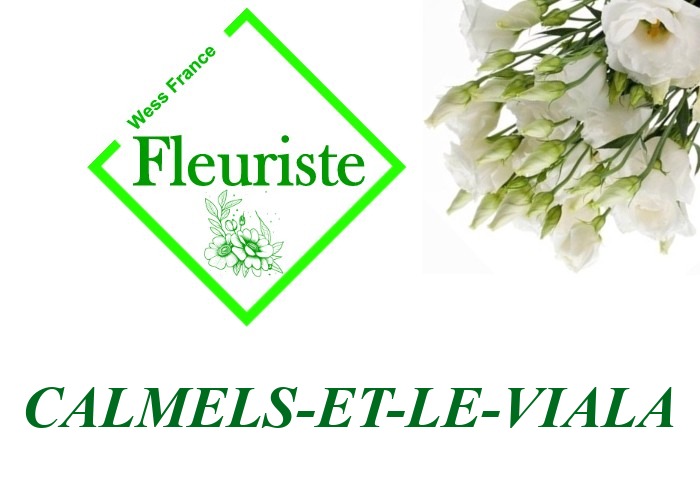 Fleuriste Calmels-et-le-Viala - livraison de fleurs Calmels-et-le-Viala