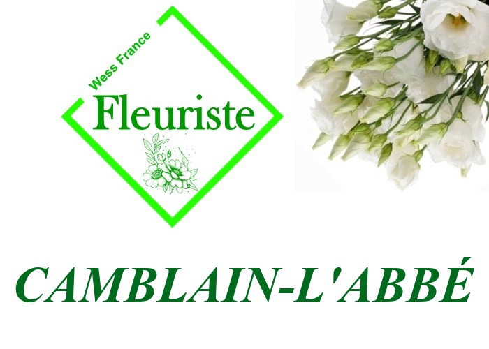 Fleuriste Camblain-l'Abbé Fleuriste Camblain-l'Abbé - livraison de fleurs Camblain-l'Abbé