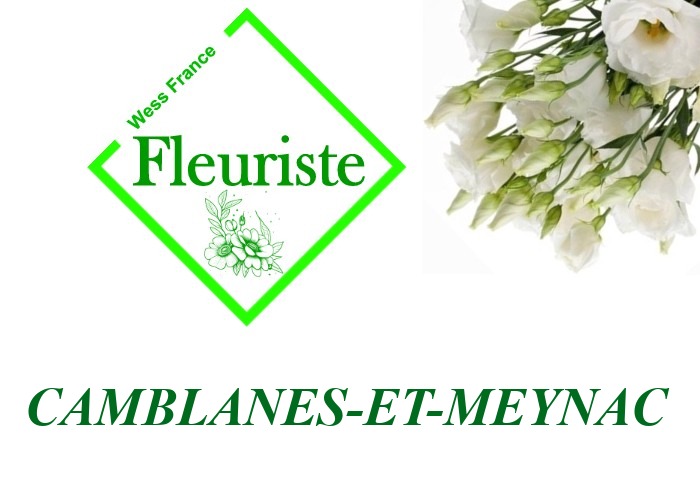 Fleuriste Camblanes-et-Meynac Fleuriste Camblanes-et-Meynac - livraison de fleurs Camblanes-et-Meynac