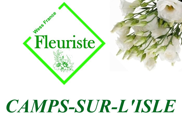 Fleuriste Camps-sur-l'Isle Fleuriste Camps-sur-l'Isle - livraison de fleurs Camps-sur-l'Isle