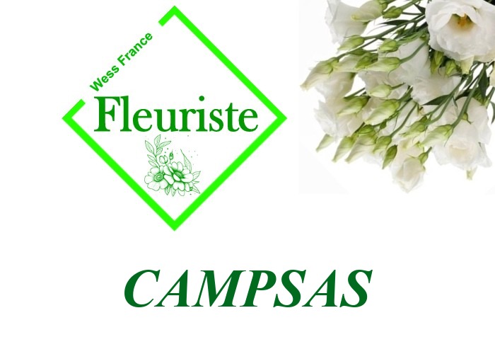 Fleuriste Campsas Fleuriste Campsas - livraison de fleurs Campsas