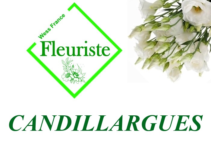 Fleuriste Candillargues Fleuriste Candillargues - livraison de fleurs Candillargues