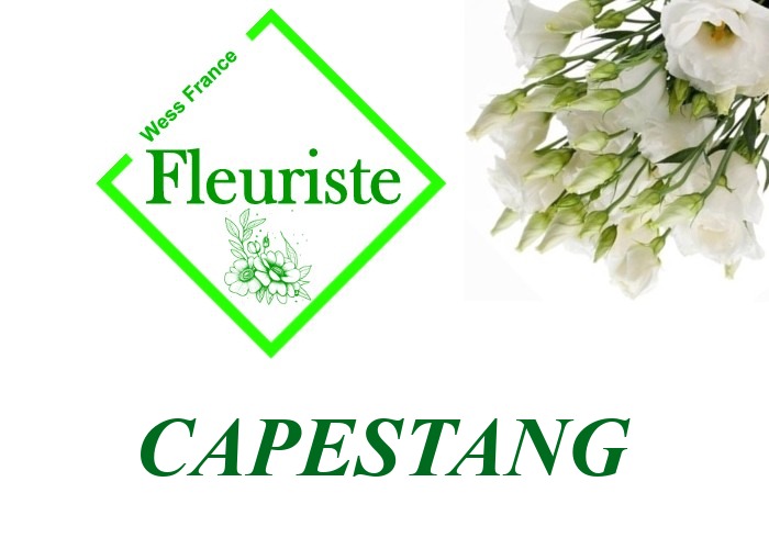 Fleuriste Capestang - livraison de fleurs Capestang