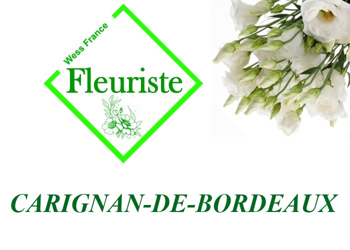 Fleuriste Carignan-de-Bordeaux Fleuriste Carignan-de-Bordeaux - livraison de fleurs Carignan-de-Bordeaux