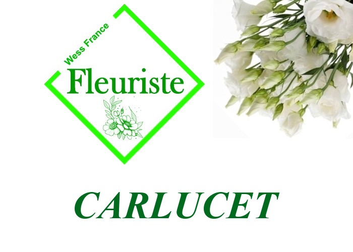 Fleuriste Carlucet - livraison de fleurs Carlucet