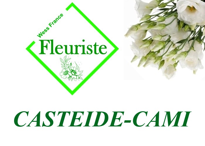 Fleuriste Casteide-Cami - livraison de fleurs Casteide-Cami
