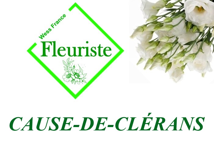 Fleuriste Cause-de-Clérans Fleuriste Cause-de-Clérans - livraison de fleurs Cause-de-Clérans