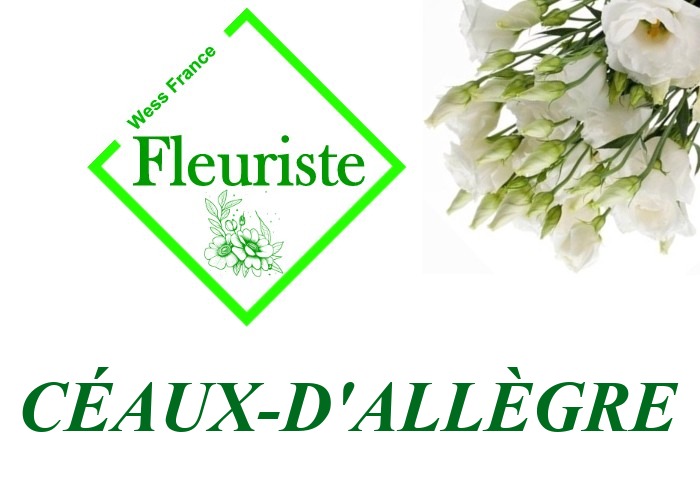 Fleuriste Céaux-d'Allègre Fleuriste Céaux-d'Allègre - livraison de fleurs Céaux-d'Allègre