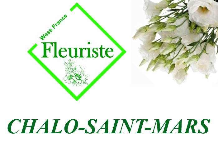 Fleuriste Chalo-Saint-Mars Fleuriste Chalo-Saint-Mars - livraison de fleurs Chalo-Saint-Mars