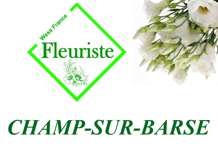 Fleuriste Champ-sur-Barse Fleuriste Champ-sur-Barse - livraison de fleurs Champ-sur-Barse