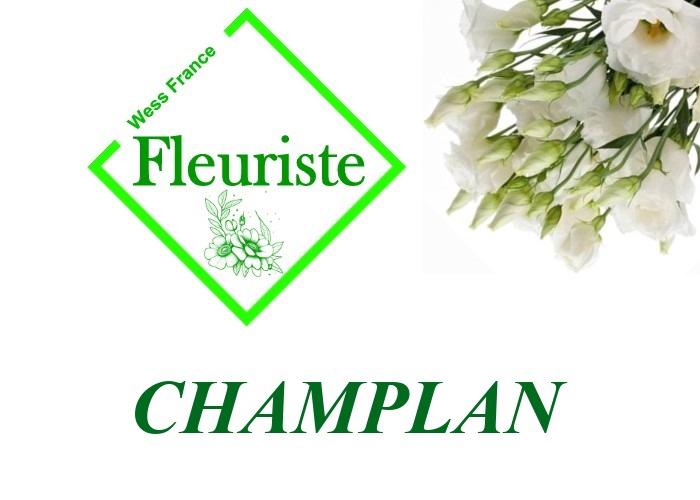 Fleuriste Champlan Fleuriste Champlan - livraison de fleurs Champlan