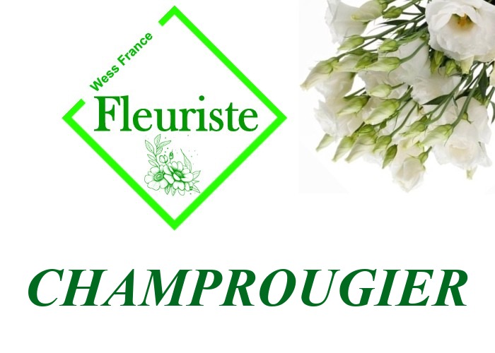 Fleuriste Champrougier - livraison de fleurs Champrougier