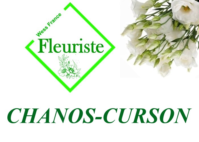 Fleuriste Chanos-Curson Fleuriste Chanos-Curson - livraison de fleurs Chanos-Curson