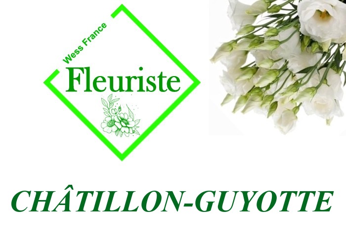 Fleuriste Châtillon-Guyotte Fleuriste Châtillon-Guyotte - livraison de fleurs Châtillon-Guyotte