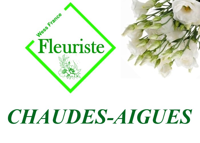 Fleuriste Chaudes-Aigues Fleuriste Chaudes-Aigues - livraison de fleurs Chaudes-Aigues