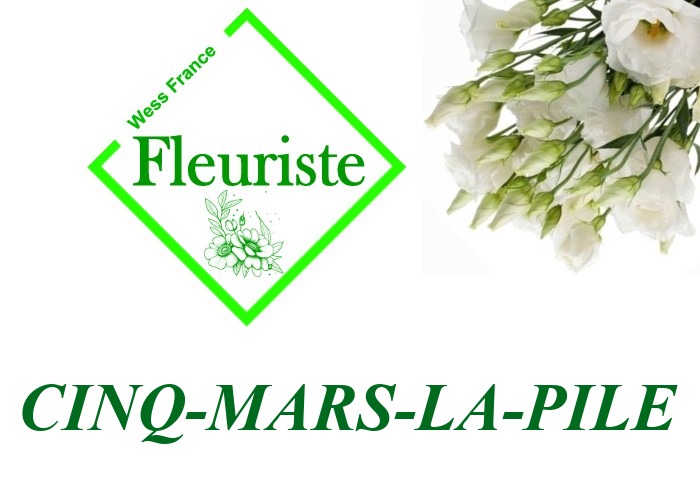 Fleuriste Cinq-Mars-la-Pile - livraison de fleurs Cinq-Mars-la-Pile