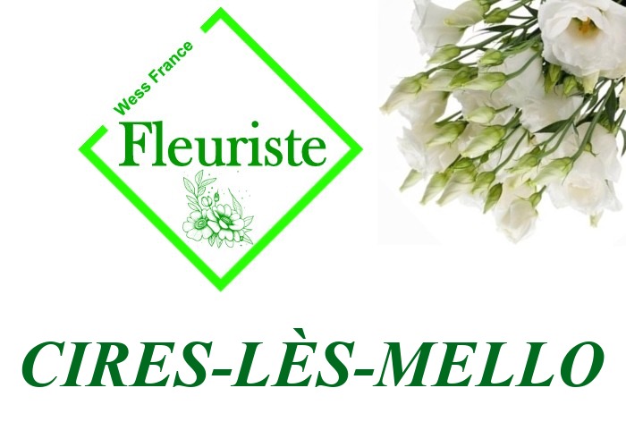Fleuriste Cires-lès-Mello - livraison de fleurs Cires-lès-Mello