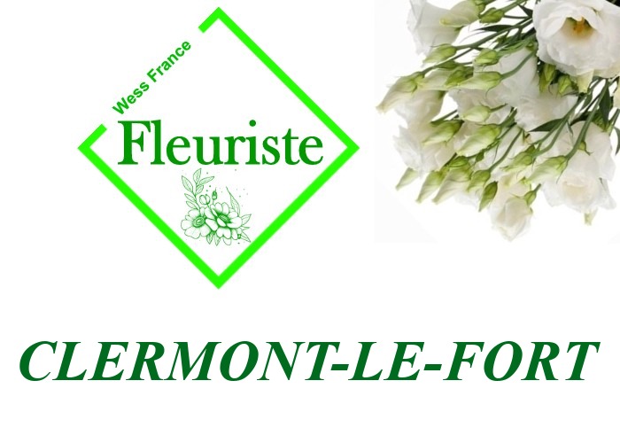 Fleuriste Clermont-le-Fort - livraison de fleurs Clermont-le-Fort