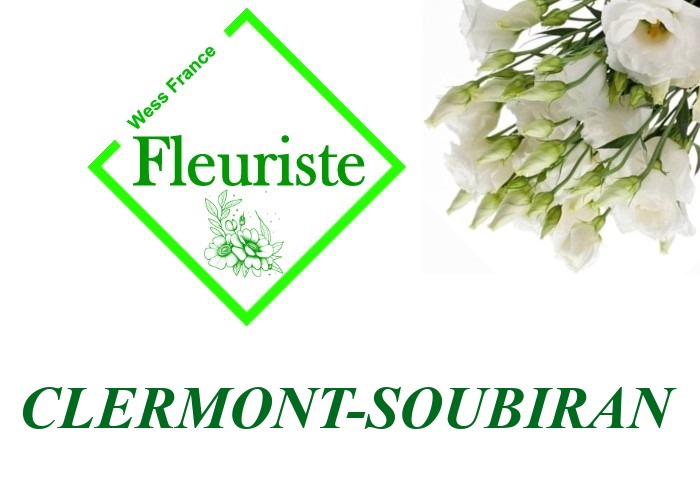 Fleuriste Clermont-Soubiran Fleuriste Clermont-Soubiran - livraison de fleurs Clermont-Soubiran