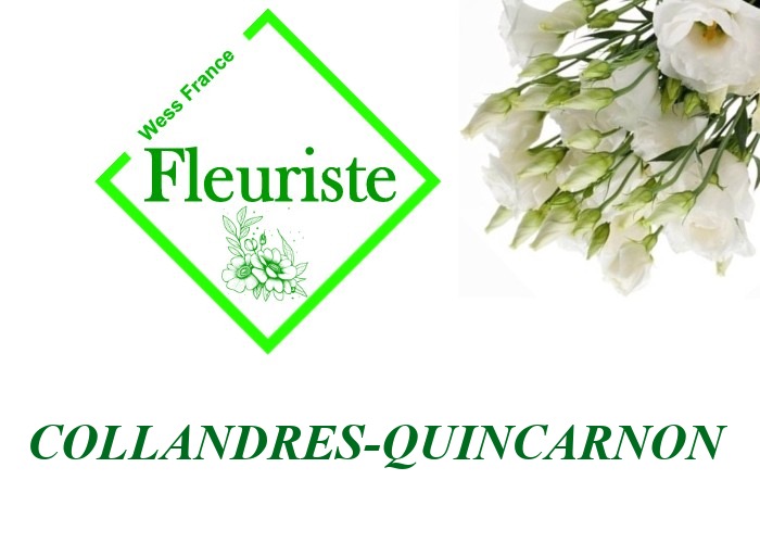 Fleuriste Collandres-Quincarnon Fleuriste Collandres-Quincarnon - livraison de fleurs Collandres-Quincarnon