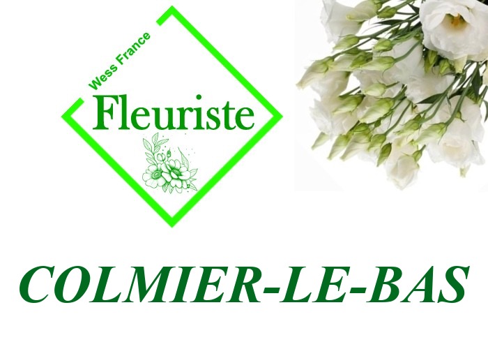 Fleuriste Colmier-le-Bas - livraison de fleurs Colmier-le-Bas