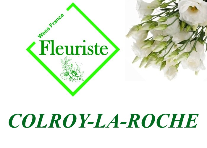 Fleuriste Colroy-la-Roche Fleuriste Colroy-la-Roche - livraison de fleurs Colroy-la-Roche