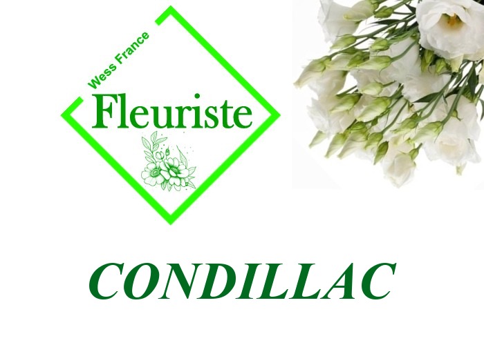 Fleuriste Condillac Fleuriste Condillac - livraison de fleurs Condillac