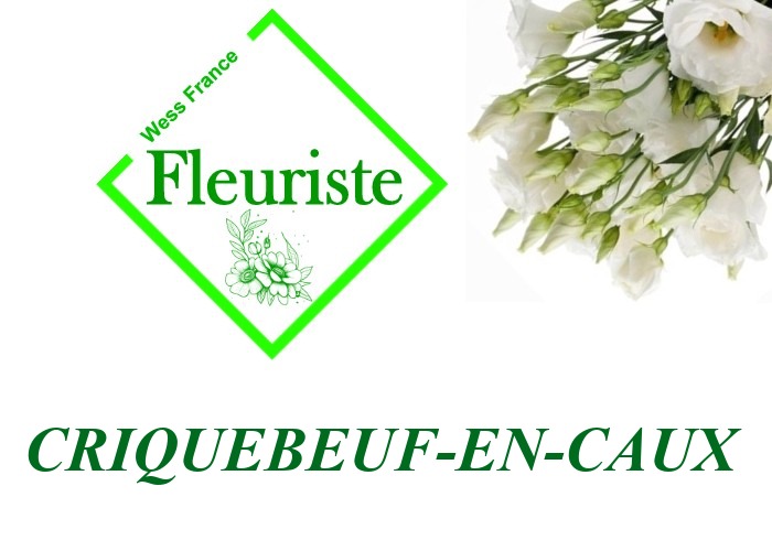 Fleuriste Criquebeuf-en-Caux Fleuriste Criquebeuf-en-Caux - livraison de fleurs Criquebeuf-en-Caux