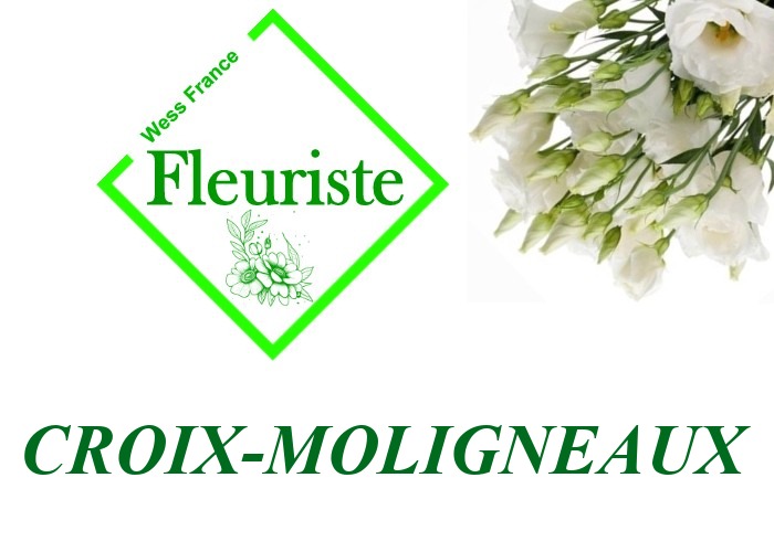 Fleuriste Croix-Moligneaux - livraison de fleurs Croix-Moligneaux