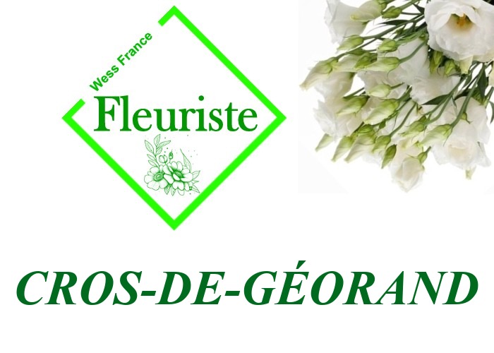 Fleuriste Cros-de-Géorand Fleuriste Cros-de-Géorand - livraison de fleurs Cros-de-Géorand